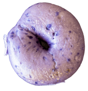 20250318_TheBagelHole_083_White (1)-min