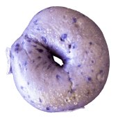 20250318_TheBagelHole_084-min-min